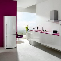 Réfrigérateurs Don: avis, un aperçu des 5 meilleurs modèles, recommandations pour le choix