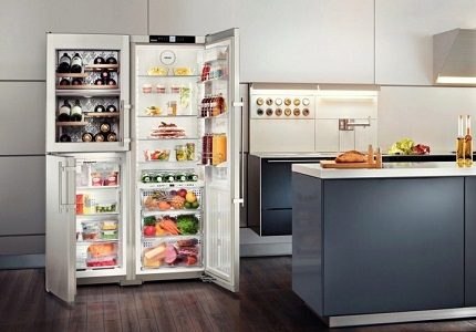 Felicidades Aire acondicionado Practicar senderismo Refrigeradores de dos puertas verticales: TOP-12 de los mejores modelos +  cuál es mejor elegir